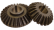 CASE-IH®COMBINE — 186517C1