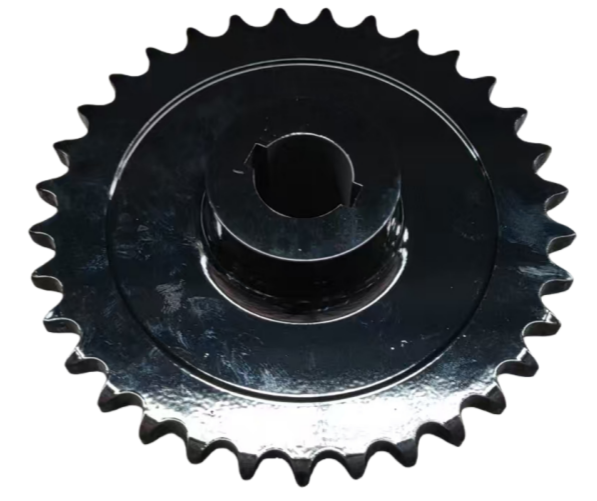 87705556 — 87705556